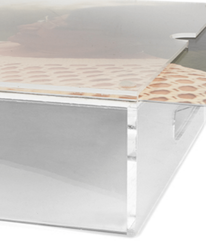 Take a Look at My Life | Acrylic Tray - by Penelope Przekop and the Przekop Design Company
